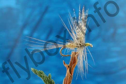 Ivor's Blue Winged Olive